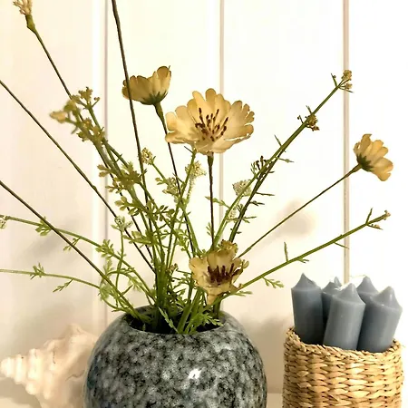 別荘 With Soul, Charm And Pastel Colours Bøtø By